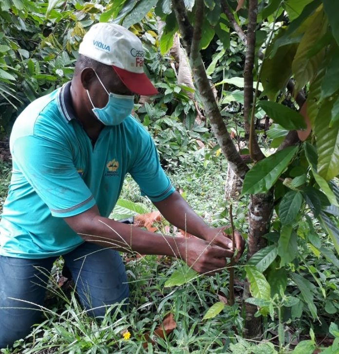 Associação dos Remanescentes de Quilombolas Produtores Rurais do Barro Vermelho