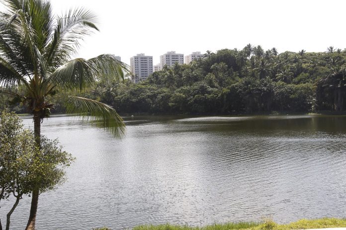 Parque Metropolitano de Pituaçu