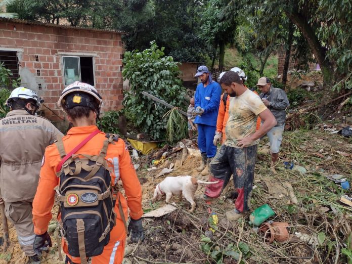 Corpo de Bombeiros da Bahia busca desaparecidos nas enchentes em Pernambuco