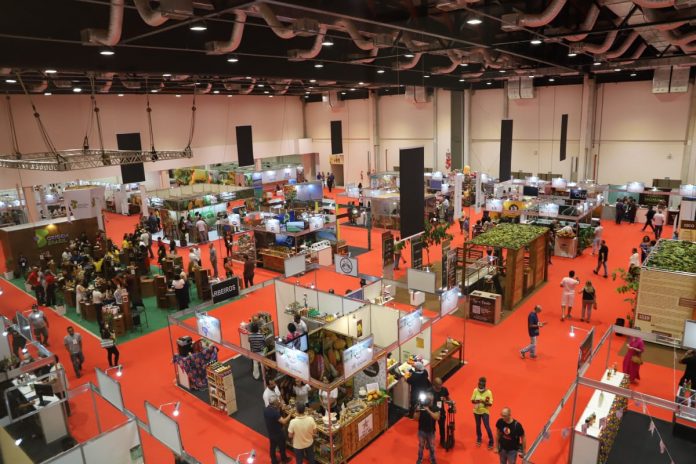 Feira Origem Week promove produtos gourmet e turismo da Bahia