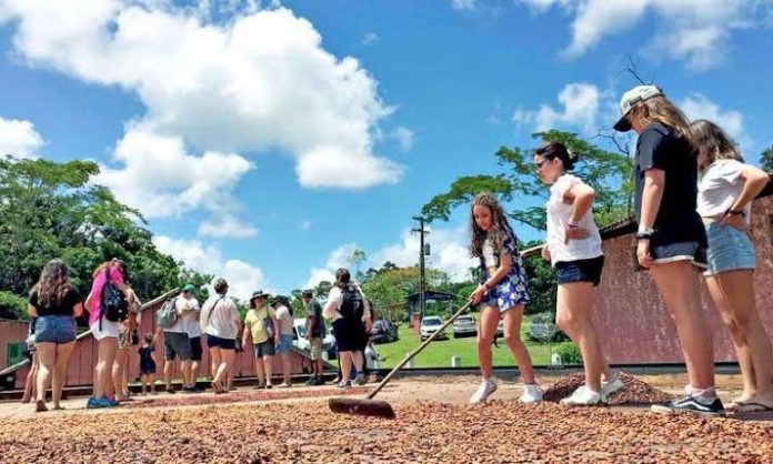 Turismo rural ganha impulso na Costa do Cacau