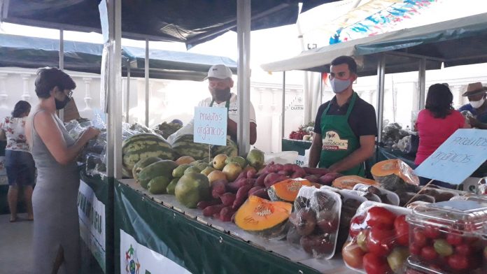 Juazeiro conta com espaço de comercialização de produtos orgânicos e agroecológicos