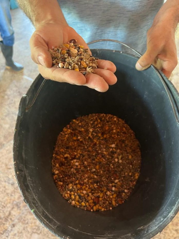 Agricultores familiares são capacitados em oficina voltada ao sistema produtivo do coco em Acajutiba