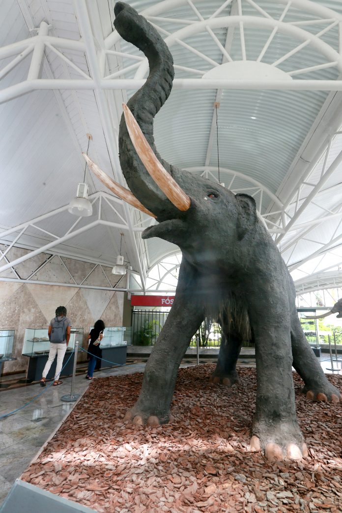 Museu Geológico da Bahia reabre com novidade após reforma