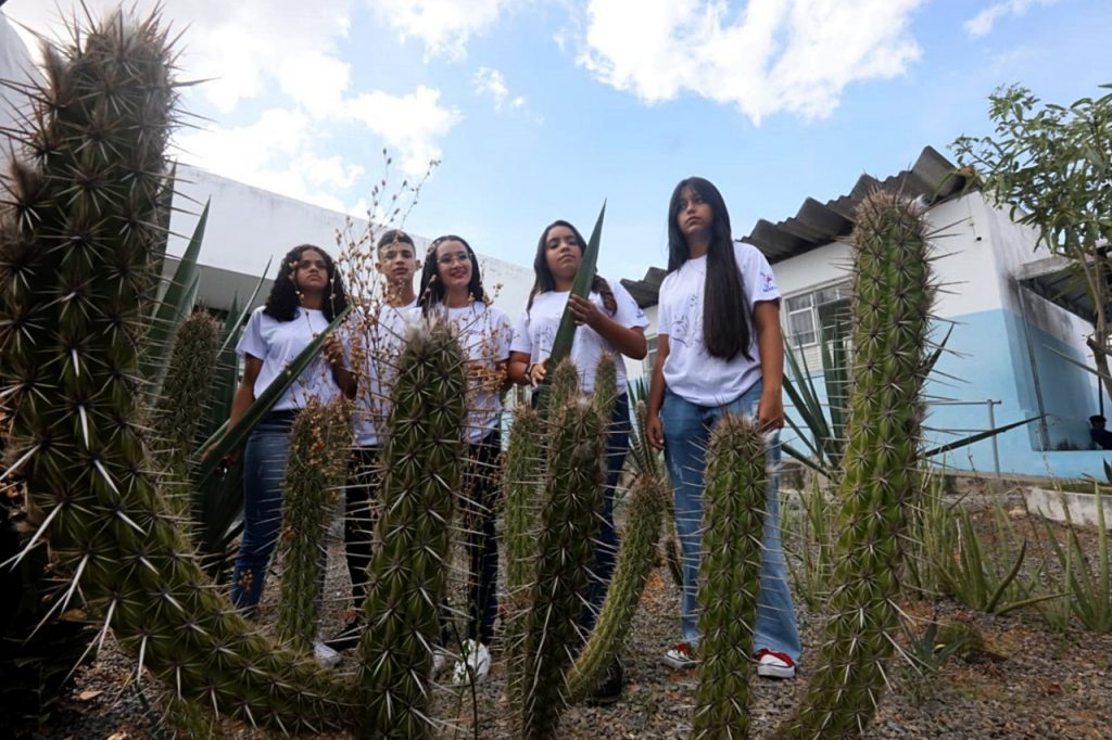 Alunos da rede estadual de Araci concorrem a prêmio nacional com projeto de luvas de bioplástico de sisal