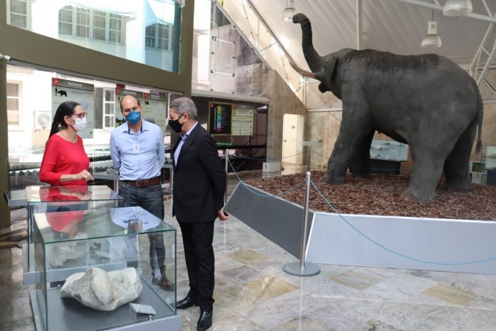 Museu Geológico da Bahia reabre com nova identidade visual