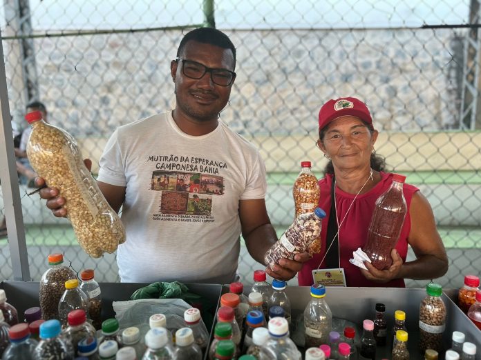 III Festival de Sementes Crioulas da Bahia e Feira da Agrobiodiversidade são realizados em Jacobina