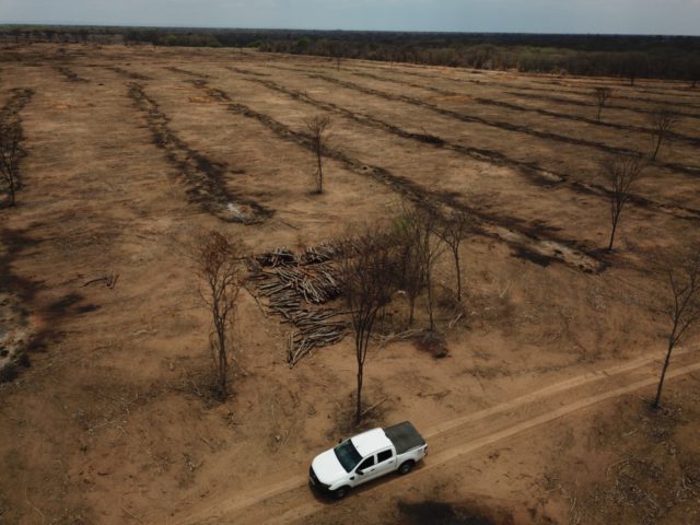 Bahia integra sistema nacional de monitoramento florestal