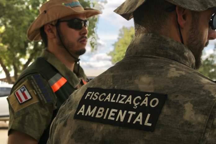 Governo do Estado realiza ação fiscalizatória contra o desmatamento ilegal no cerrado baiano