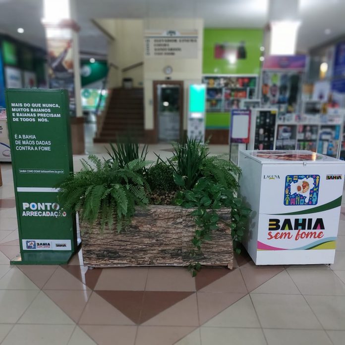 Shoppings em Alagoinhas e Camaçari ganham pontos de coleta do Bahia Sem Fome