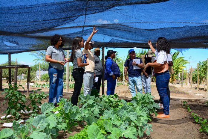 Representantes do Governo de Angola fazem intercâmbio na Bahia para conhecer experiências da agricultura familiar