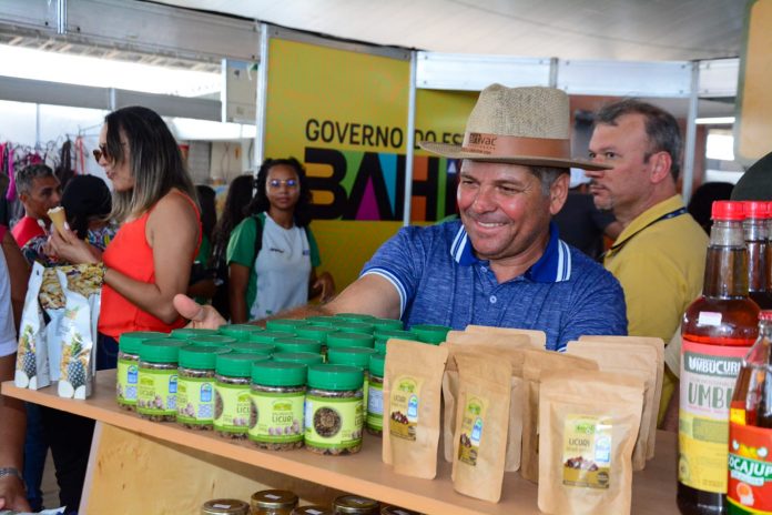 Réplica do Armazém da Caatinga de Juazeiro leva produtos da agricultura familiar para o Semiárido Show