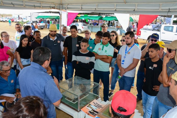 Avicultores baianos rumo à sustentabilidade: Capacitação no Semiárido Show impulsiona produção