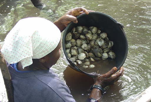 Bahia Pesca cadastra pescadores, marisqueiras e aquicultores no CAF