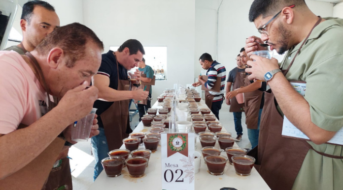 Concurso de Qualidade do Café de Barra do Choça impulsiona a produção de cafés de excelência na região