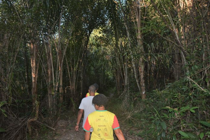 Turismo de base comunitária valoriza a cultura quilombola do Baixo Sul da Bahia