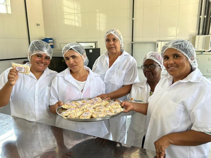 A raiz das raízes: mandioca como fonte de alimento, renda e autonomia na Bahia