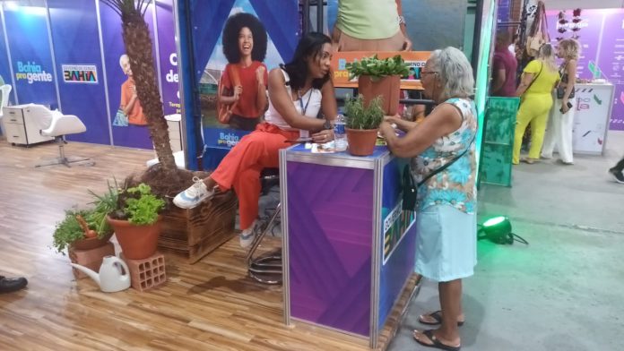 Seagri estimula o plantio de hortas na laje durante a Expo Favela Bahia