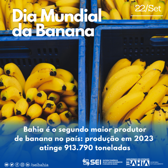 Bahia é segundo no ranking de produção de banana no país