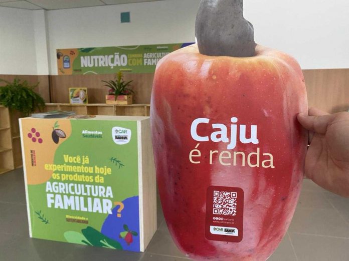 Nutrição e Agricultura Familiar se unem em Salvador, no Bem Viver Nutrição