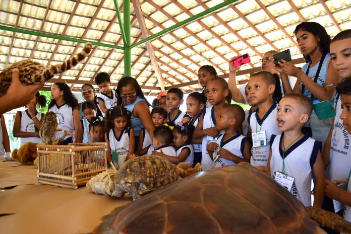 Programação infantil do Parque de Pituaçu promove conscientização ambiental