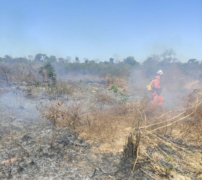 Mais de 220 bombeiros com apoio de 50 viaturas e brigadistas voluntários atuam no combate a incêndios florestais no interior da Bahia