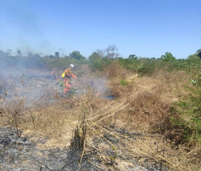 Mais de 220 bombeiros com apoio de 50 viaturas e brigadistas voluntários atuam no combate a incêndios florestais no interior da Bahia