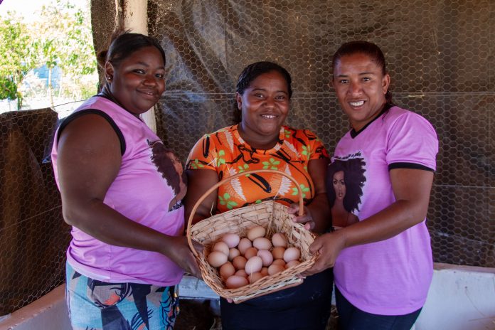 Mulheres quilombolas de Carinhanha empreendem e têm bons resultados com a avicultura