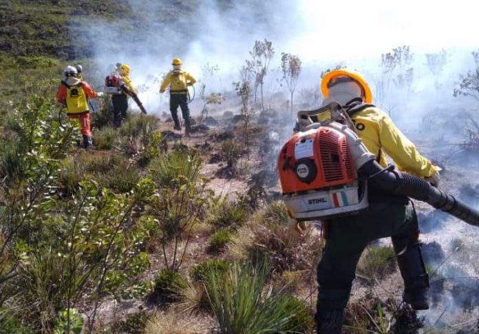 Combate aos incêndios florestais segue como uma das prioridades do Governo da Bahia