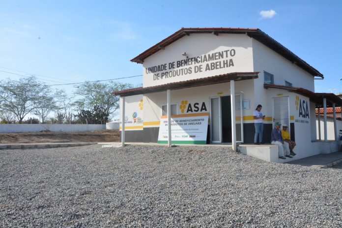 Pintadas se consolida como um importante polo agroindustrial da agricultura familiar