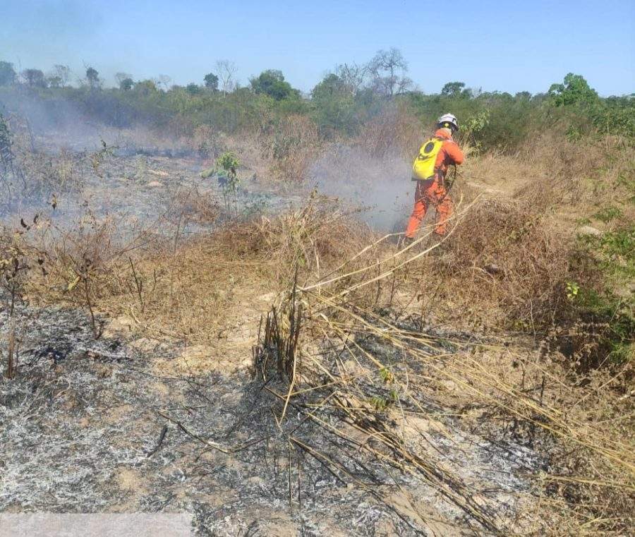 Bahia Sem Fogo atua de forma intensiva no combate aos incêndios florestais