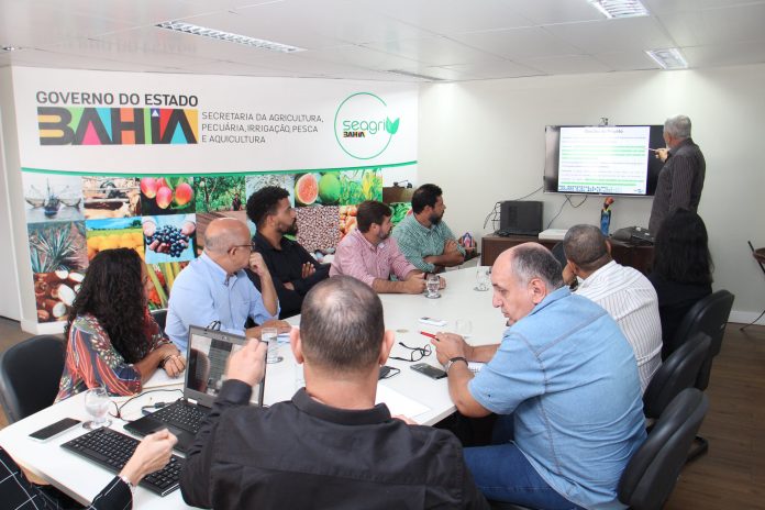 Maior exportador de frutas frescas do Brasil, Bahia discute ações de prevenção e combate à mosca da carambola