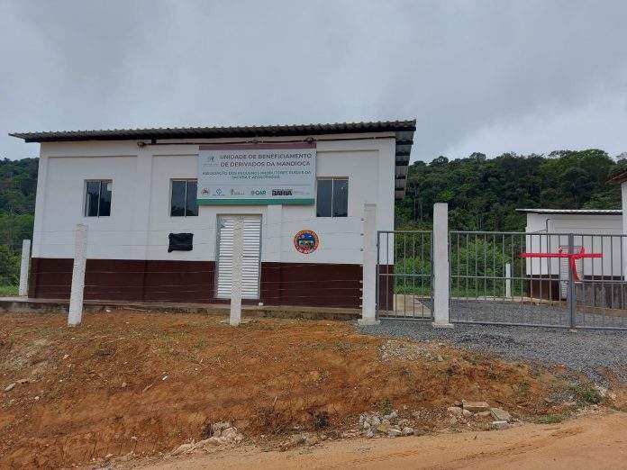 Agroindústria da mandioca empodera mulheres em comunidade rural de Ibirapitanga