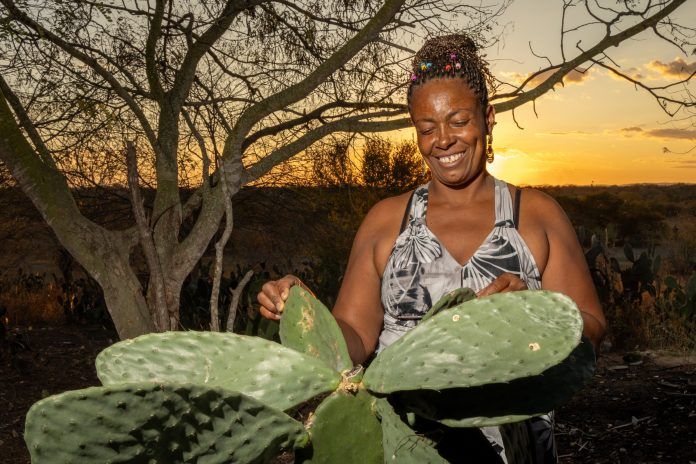 Valorização das comunidades quilombolas marca Dia da Consciência Negra