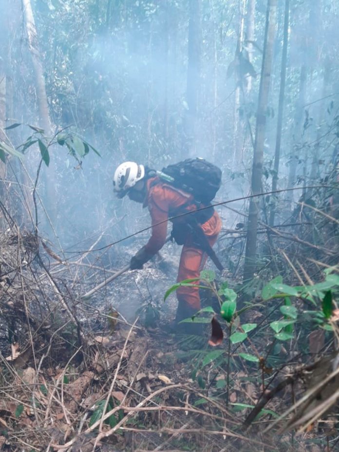 Base Florestal Sul conta com mais 50 bombeiros militares e 10 viaturas no apoio ao combate aos incêndios