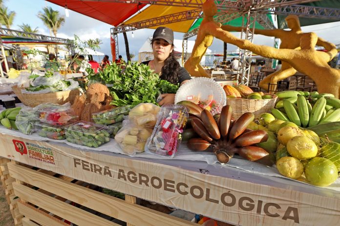 Feira Baiana da Agricultura Familiar e Economia Solidária chega a 14ª edição com homenagem a Luiz Alberto, liderança do movimento negro brasileiro