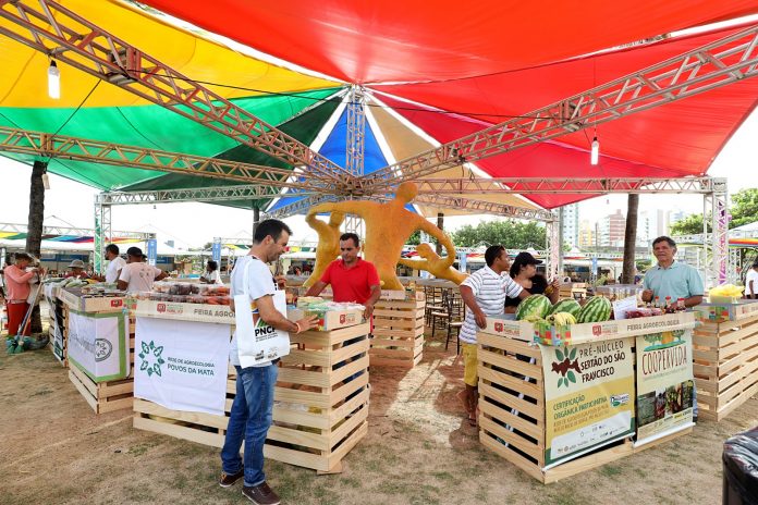 Feira Baiana da Agricultura Familiar e Economia Solidária chega a 14ª edição com homenagem a Luiz Alberto, liderança do movimento negro brasileiro