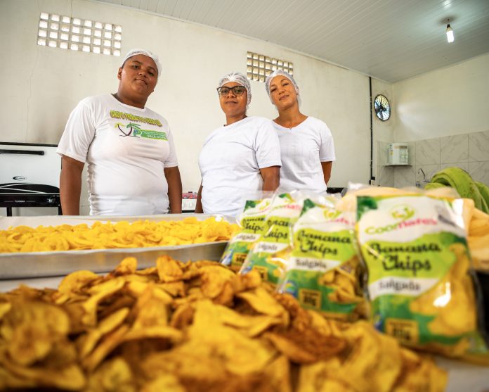 Cooperativa do Baixo Sul acessa mercados e reforça potencial das mulheres agricultoras