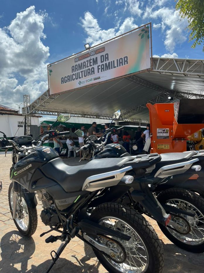 Feira da Agricultura Familiar reforça qualidade e diversidade dos produtos em Manoel Vitorino