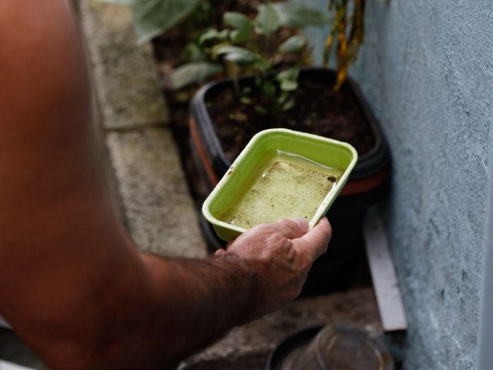 Bahia tem 265 municípios em epidemia de Dengue