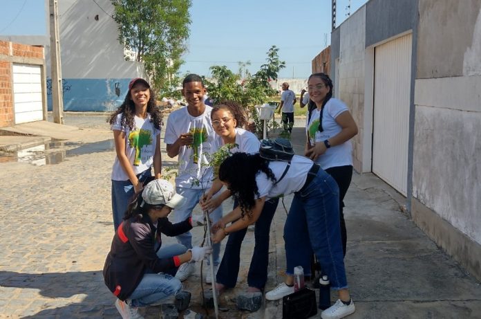 Projeto estudantil contribui para ampliar arborização em Bom Jesus da Lapa