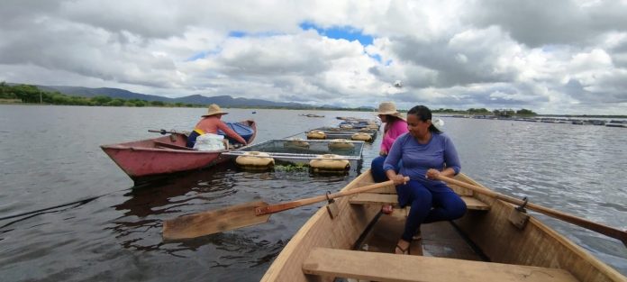 Piscicultoras de Itiúba investem na criação de peixes para alcançar autonomia