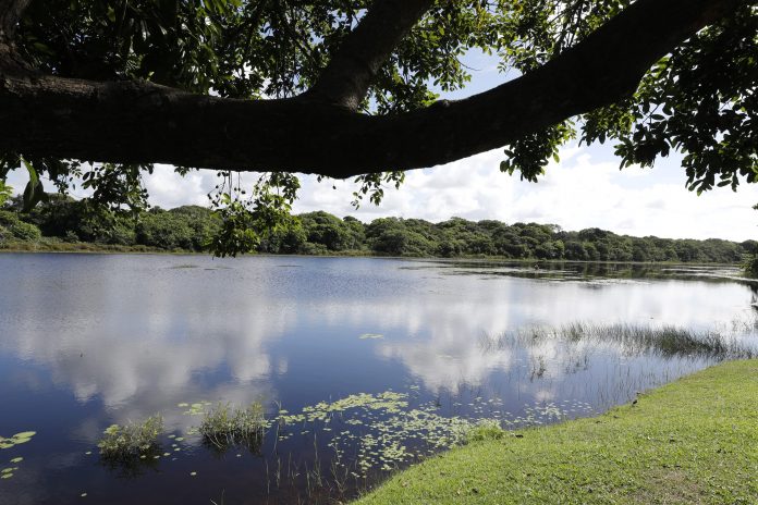 Inema realiza eleição do Conselho Gestor das APAs Lagoas de Guarajuba e Rio Capivara