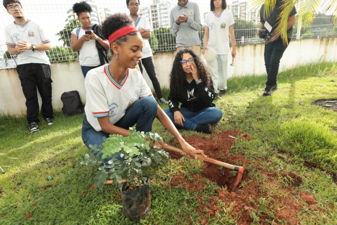 Educação baiana é pioneira na promoção da sustentabilidade
