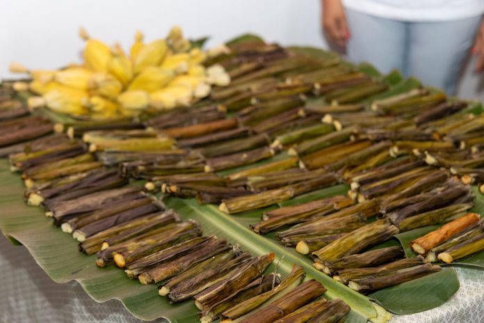 Cozinha e padaria comunitária potencializam produção de alimentos em Rafael Jambeiro