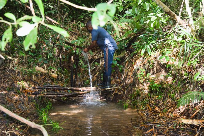 Inema destaca avanços no cadastro ambiental durante visita à comunidade quilombola