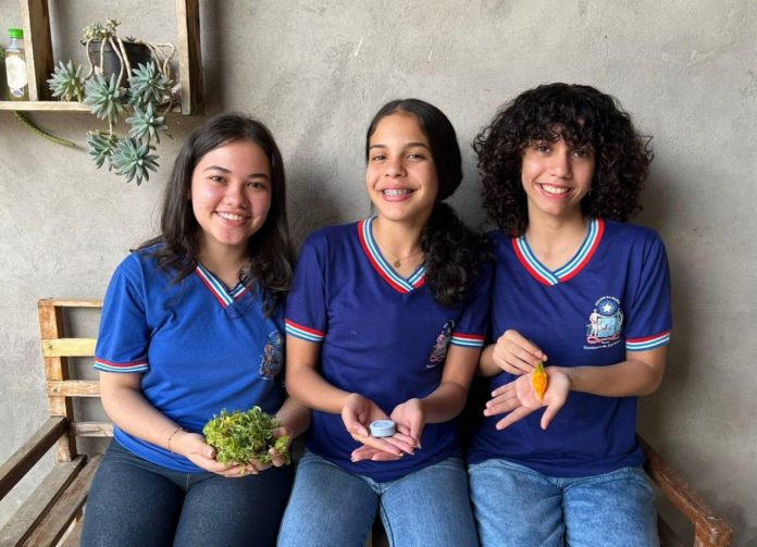 Estudantes do semiárido usam planta melão para criar sabonete que combate pulgas