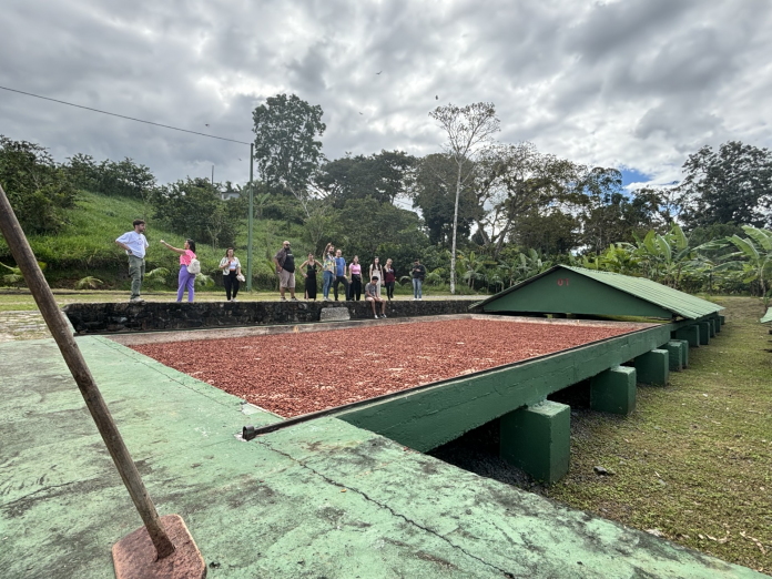 Jornalistas do Brasil e do exterior têm experiência imersiva na Estrada do Chocolate