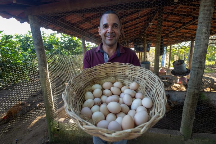 Galinheiros e equipamentos elevam produção e renda de agricultores familiares em Governador Mangabeira