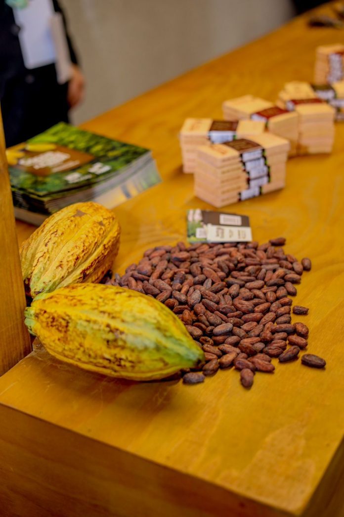 Ilhéus recebe maior evento de cacau e chocolate da América Latina